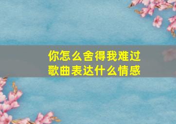 你怎么舍得我难过歌曲表达什么情感