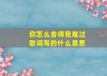 你怎么舍得我难过歌词写的什么意思