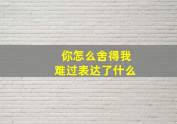 你怎么舍得我难过表达了什么