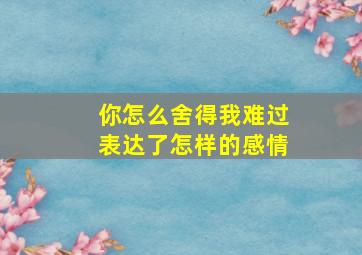 你怎么舍得我难过表达了怎样的感情