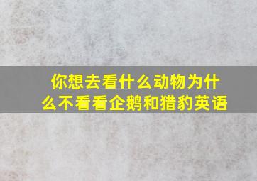 你想去看什么动物为什么不看看企鹅和猎豹英语