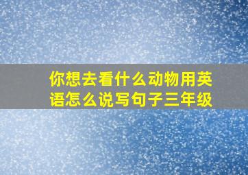 你想去看什么动物用英语怎么说写句子三年级