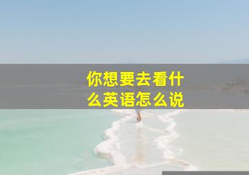 你想要去看什么英语怎么说