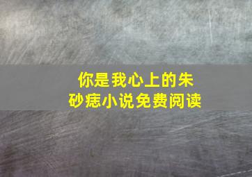 你是我心上的朱砂痣小说免费阅读