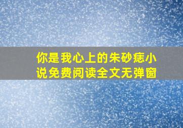 你是我心上的朱砂痣小说免费阅读全文无弹窗