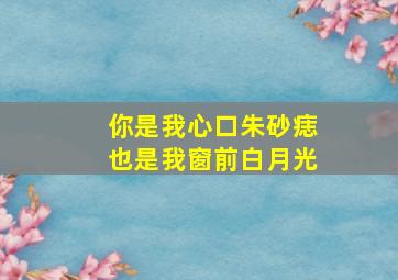 你是我心口朱砂痣也是我窗前白月光