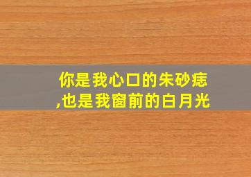 你是我心口的朱砂痣,也是我窗前的白月光