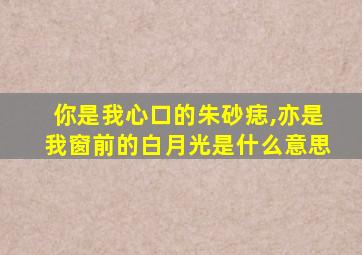 你是我心口的朱砂痣,亦是我窗前的白月光是什么意思