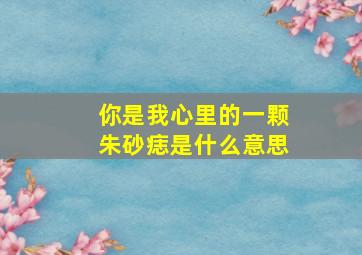 你是我心里的一颗朱砂痣是什么意思