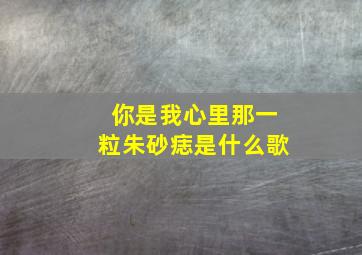 你是我心里那一粒朱砂痣是什么歌