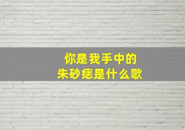 你是我手中的朱砂痣是什么歌