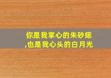 你是我掌心的朱砂痣,也是我心头的白月光