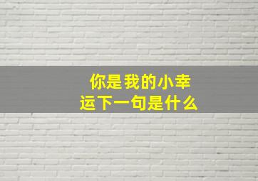 你是我的小幸运下一句是什么