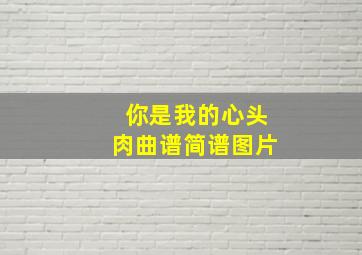 你是我的心头肉曲谱简谱图片