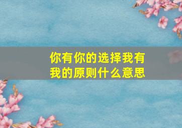 你有你的选择我有我的原则什么意思