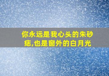 你永远是我心头的朱砂痣,也是窗外的白月光