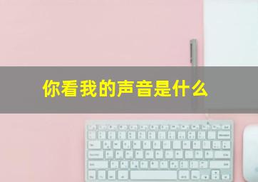 你看我的声音是什么