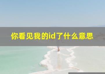 你看见我的id了什么意思