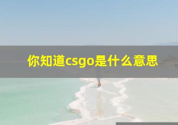 你知道csgo是什么意思