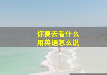 你要去看什么用英语怎么说