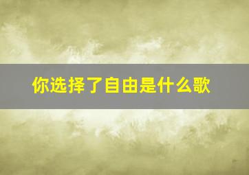 你选择了自由是什么歌