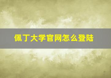 佩丁大学官网怎么登陆