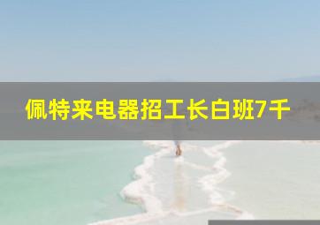 佩特来电器招工长白班7千