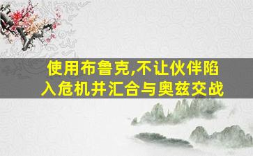 使用布鲁克,不让伙伴陷入危机并汇合与奥兹交战