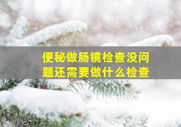 便秘做肠镜检查没问题还需要做什么检查