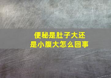 便秘是肚子大还是小腹大怎么回事