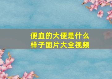 便血的大便是什么样子图片大全视频