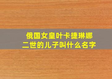 俄国女皇叶卡捷琳娜二世的儿子叫什么名字