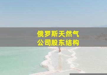 俄罗斯天然气公司股东结构