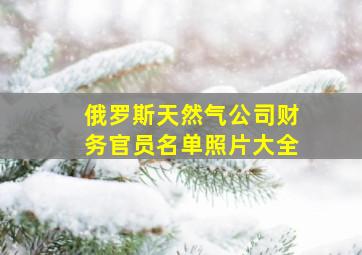 俄罗斯天然气公司财务官员名单照片大全