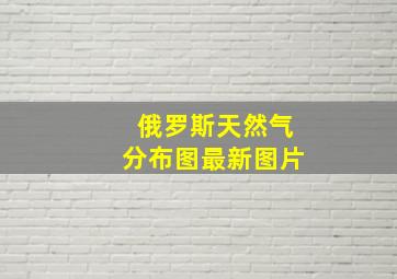 俄罗斯天然气分布图最新图片