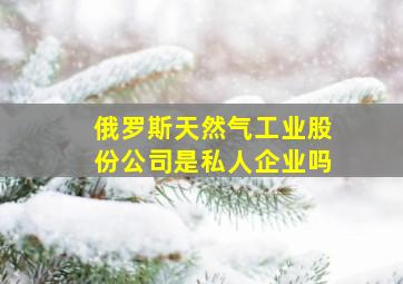 俄罗斯天然气工业股份公司是私人企业吗