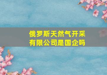 俄罗斯天然气开采有限公司是国企吗