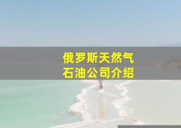 俄罗斯天然气石油公司介绍