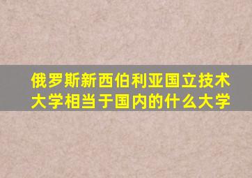 俄罗斯新西伯利亚国立技术大学相当于国内的什么大学