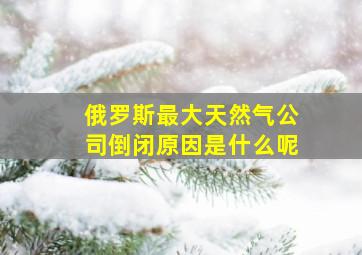 俄罗斯最大天然气公司倒闭原因是什么呢