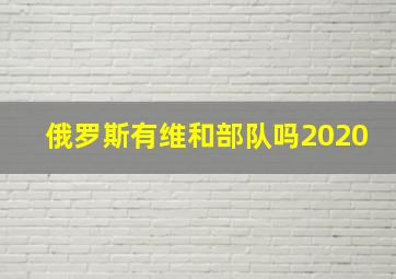 俄罗斯有维和部队吗2020