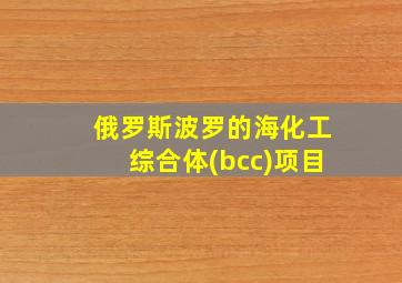 俄罗斯波罗的海化工综合体(bcc)项目