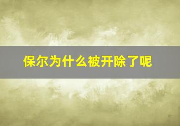 保尔为什么被开除了呢