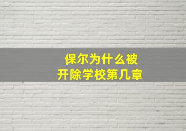 保尔为什么被开除学校第几章