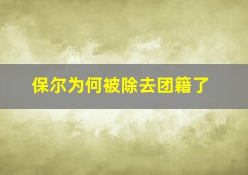 保尔为何被除去团籍了