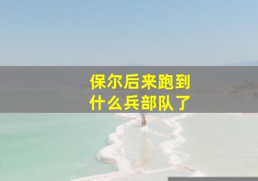 保尔后来跑到什么兵部队了