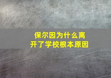 保尔因为什么离开了学校根本原因