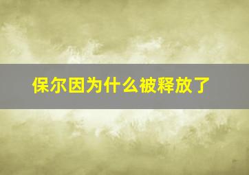 保尔因为什么被释放了