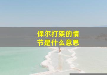 保尔打架的情节是什么意思