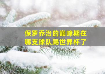 保罗乔治的巅峰期在哪支球队踢世界杯了